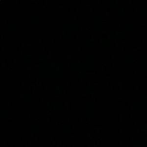 Meet your Posher, Marley